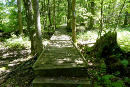 Bruce Trail Bruce Trail